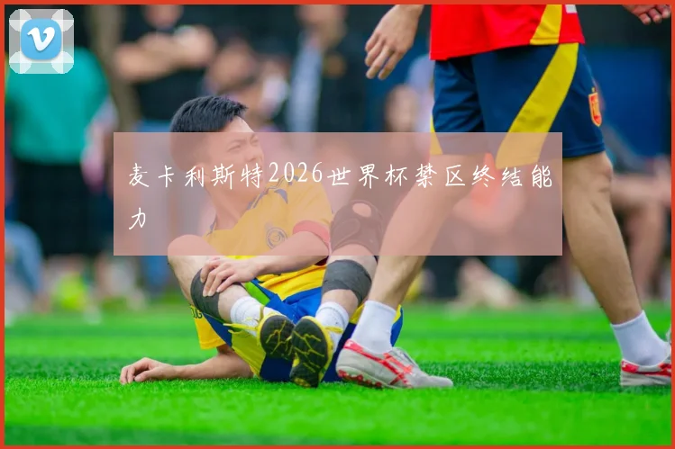 麦卡利斯特2026世界杯禁区终结能力