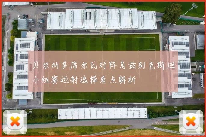 贝尔纳多席尔瓦对阵乌兹别克斯坦小组赛远射选择看点解析