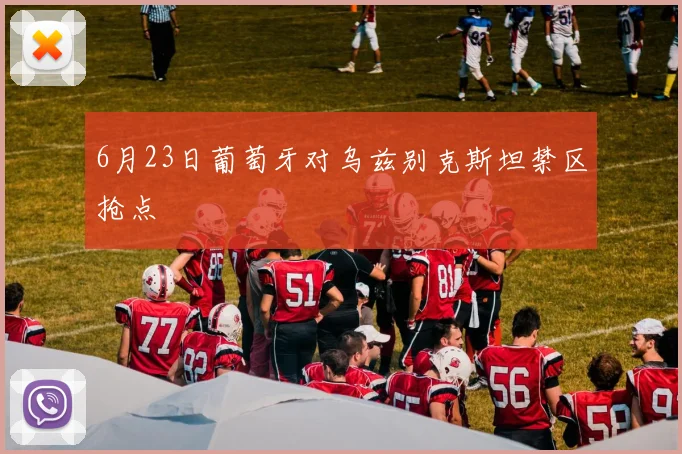 6月23日葡萄牙对乌兹别克斯坦禁区抢点