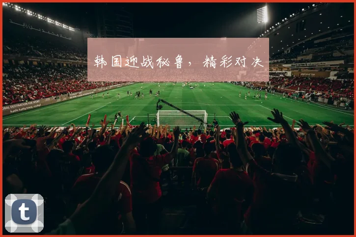 韩国迎战秘鲁，精彩对决