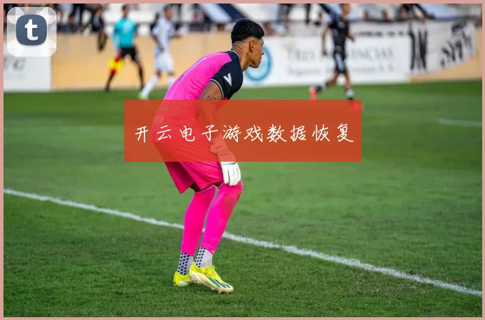 开云电子游戏数据恢复