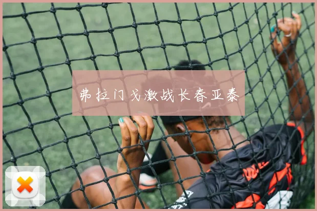弗拉门戈激战长春亚泰