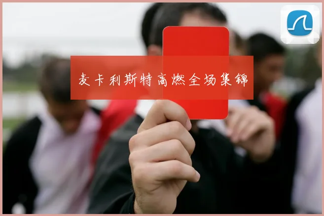 麦卡利斯特高燃全场集锦