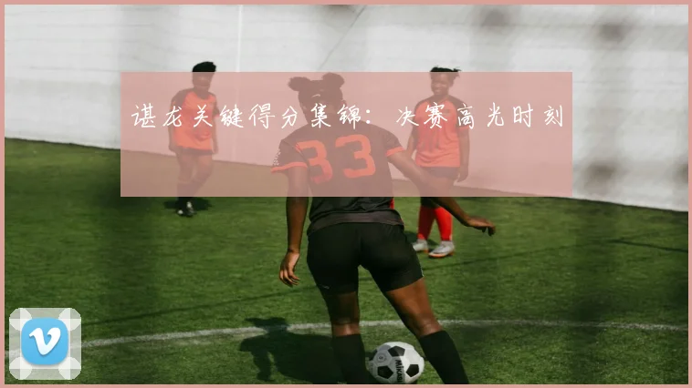 谌龙关键得分集锦：决赛高光时刻