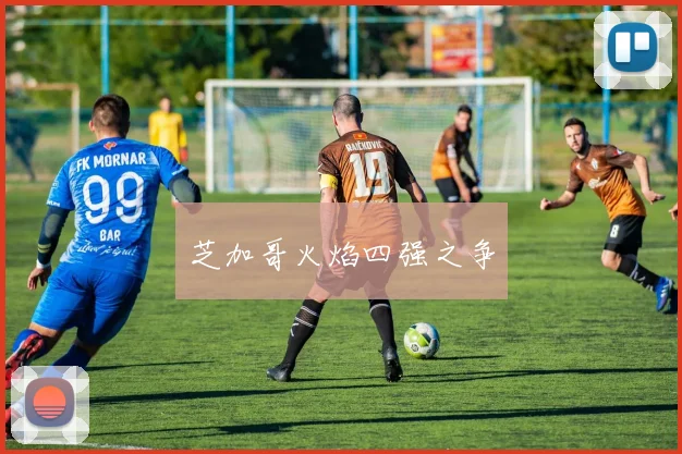 芝加哥火焰四强之争