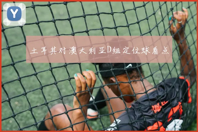 土耳其对澳大利亚D组定位球看点
