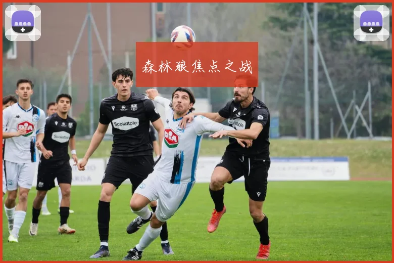森林狼焦点之战
