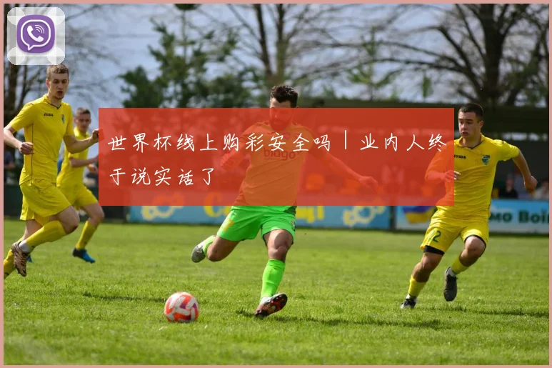 世界杯线上购彩安全吗｜业内人终于说实话了