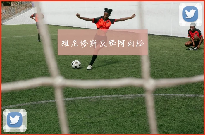维尼修斯交锋阿利松
