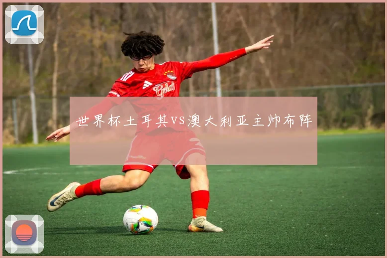 世界杯土耳其vs澳大利亚主帅布阵
