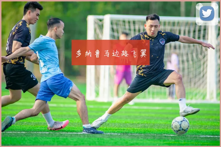 多纳鲁马边路飞翼