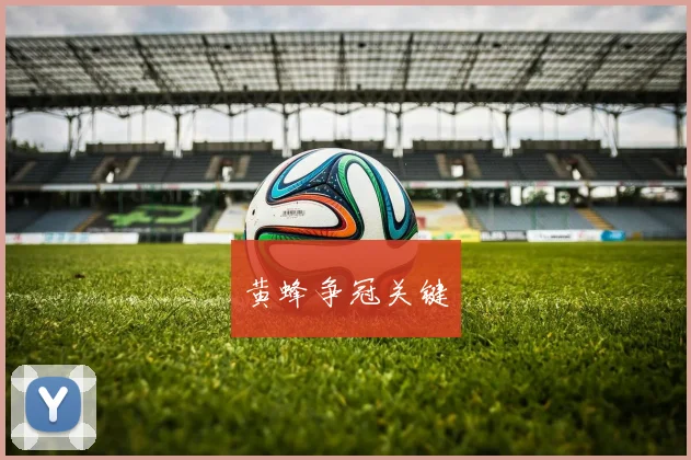 黄蜂争冠关键