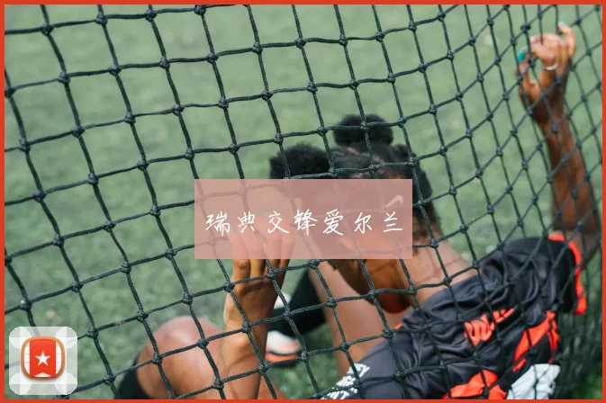 瑞典交锋爱尔兰