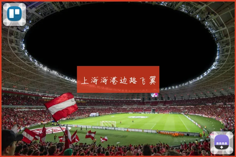 上海海港边路飞翼