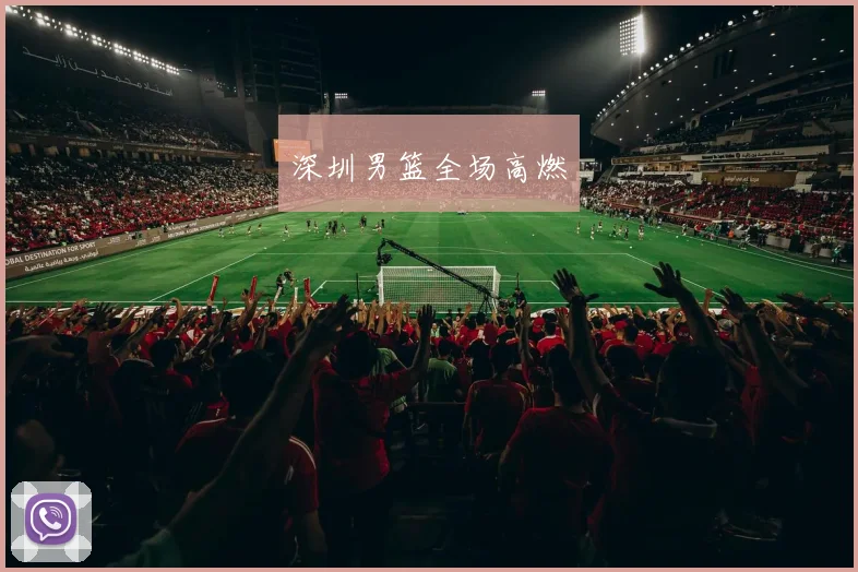 深圳男篮全场高燃