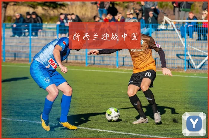 新西兰迎战中国