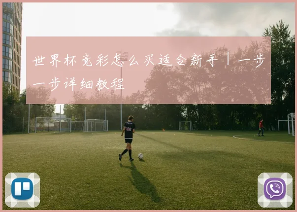 世界杯竞彩怎么买适合新手｜一步一步详细教程