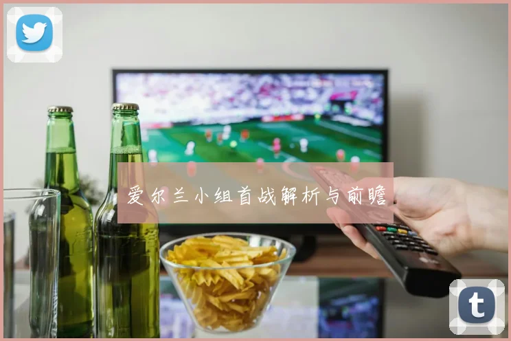 爱尔兰小组首战解析与前瞻