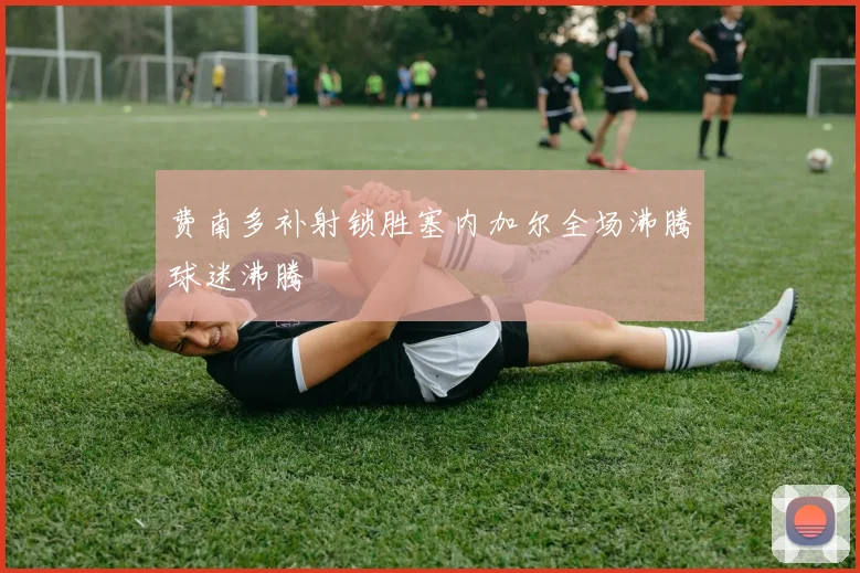 费南多补射锁胜塞内加尔全场沸腾球迷沸腾
