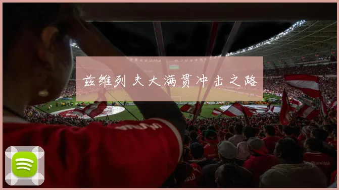 兹维列夫大满贯冲击之路