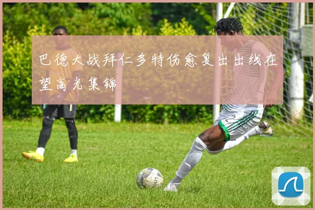 巴德大战拜仁多特伤愈复出出线在望高光集锦