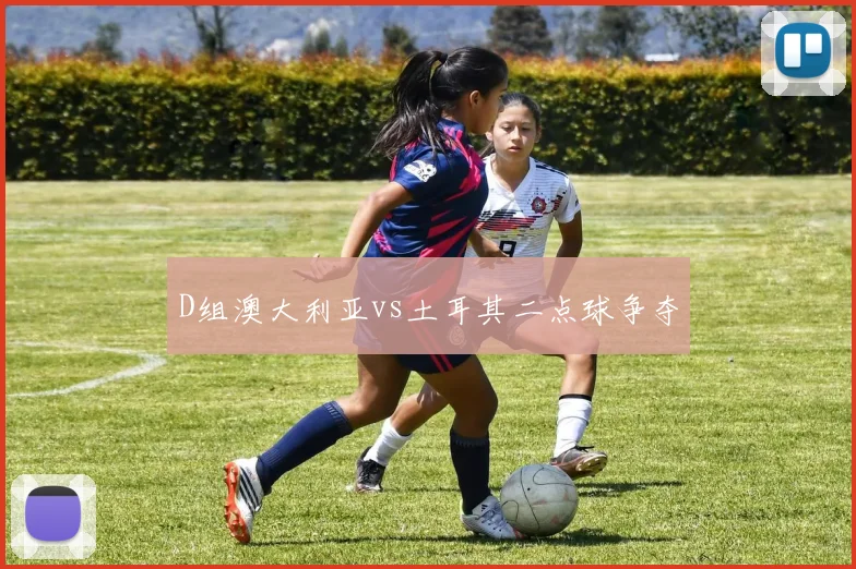 D组澳大利亚vs土耳其二点球争夺