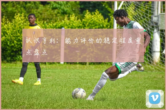 认识亨利：能力评价的稳定程度重点盘点