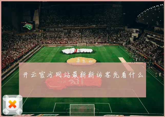 开云官方网站最新新访客先看什么